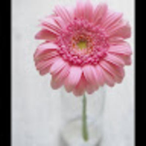 Meet your Posher, Margret